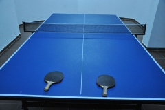 masa tenisi-02